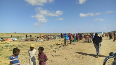 WFP seeks $327mn to combat drought in Horn of Africa