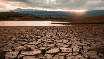 FAO urges USD130 million for drought-stricken Africa