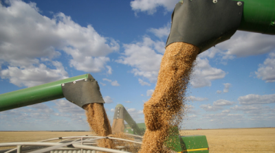 Official: Ukraine needs the grain export agreement to continue