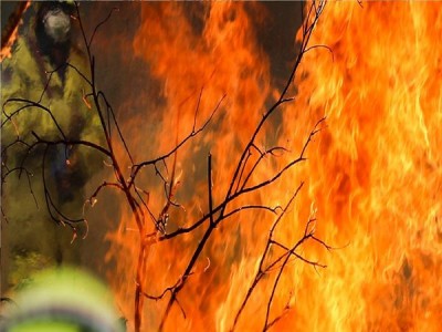 तोचिगी प्रांत के पहाड़ क्षेत्र पर लगी भीषण आग का जारी है प्रसार