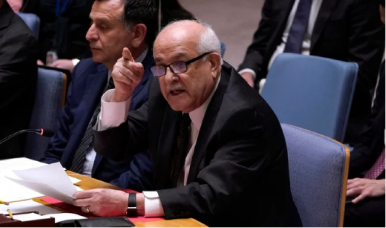 'Our people will stop you if the UNSC won't' Palestinian envoy tells his Israeli counterpart