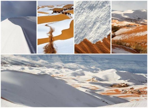 The Sahara Desert has experienced the biggest snowfall in the living memory