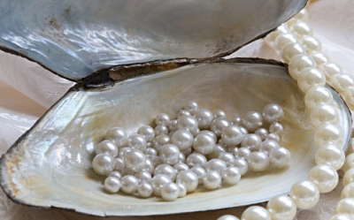 How Arabs gilded Sri Lanka's historic pearl trade