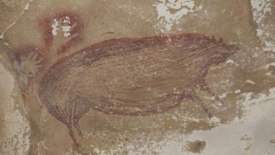 Indonesia: Archaeologists find world's oldest known animal cave painting