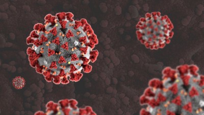 Argentina confirms first case of new variant of coronavirus