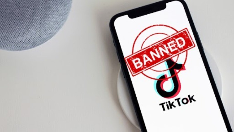 Countries that have banned China origin social media app TikTok, apart from India and why?