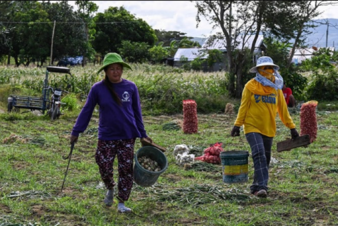 Pricey onions in the Philippines turn a staple food into a luxury