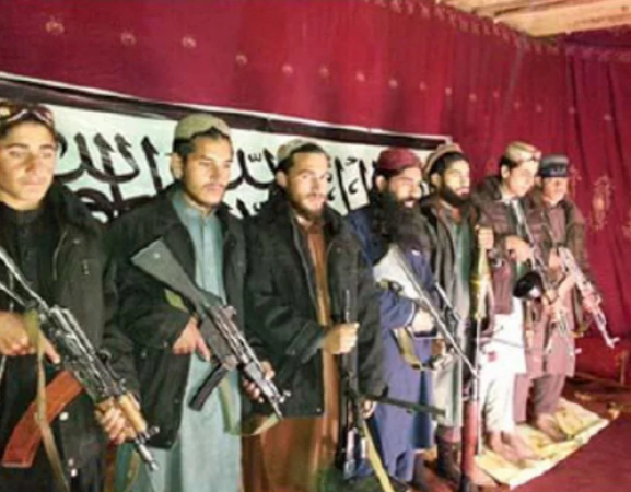 What is driving the insurgency of the Pakistani Taliban?