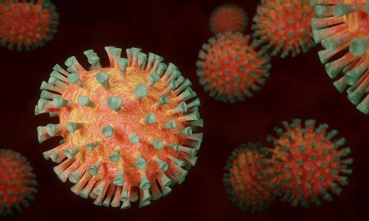 EMA detects new Covid-19 outbreak in many EU nations