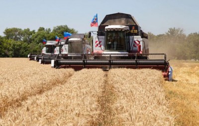 Ukraine cancels licensing of wheat exports