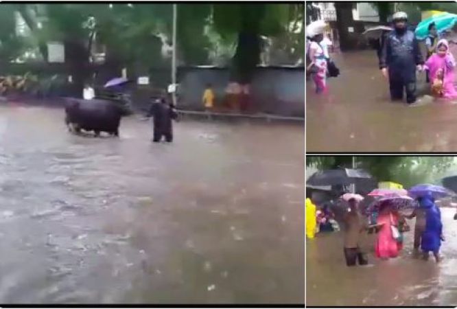 Mumbai rain claims 35 lives while  36 injured schools and colleges remain shut in 2nd day
