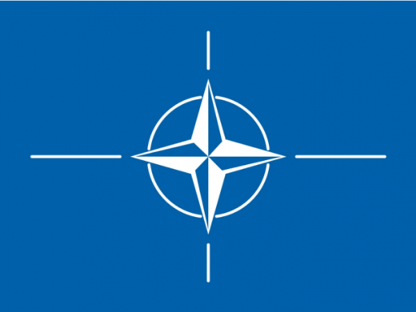 Sweden agrees with NATO's viewpoint that nuclear weapons are 