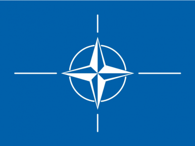 Sweden agrees with NATO's viewpoint that nuclear weapons are 