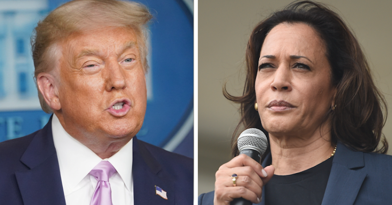 #KamalaCrash: Trump Blames Market Drop on Harris’s Presidential Bid