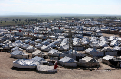 Expert advises MPs that the UK should repatriate citizens from Syrian camps