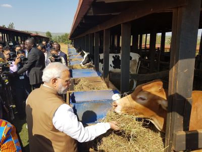 PM Narendra Modi donates 200 cows under Girinka project