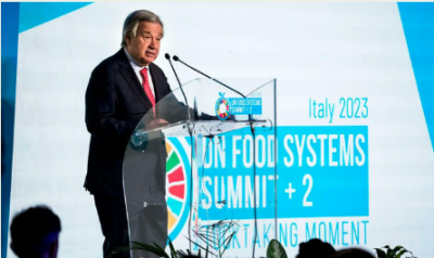 UN holds food summit as more people experience hunger globally