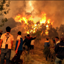 Nature's wrath: 34 people have died in raging wildfires in Algeria