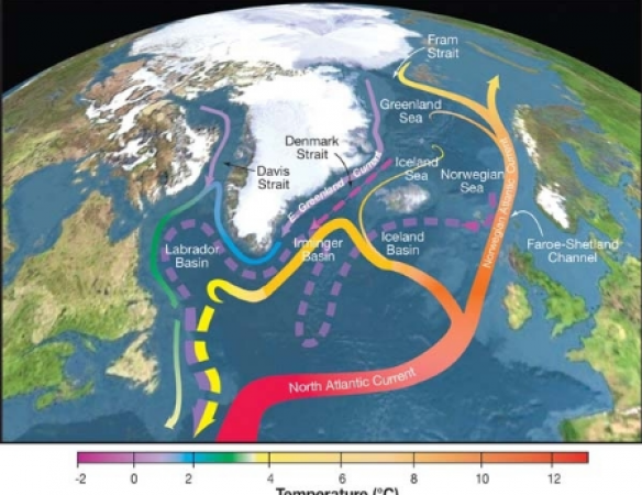 Ocean Currents on the Brink: Vital Heat Distributors Threatened to Collapse by Mid-20th Century