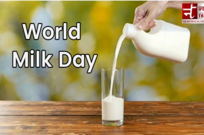 World Milk Day: Celebrating International Day of Dairy on June 1st