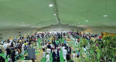 How Indian Mango Festival Delights Crowd in Doha