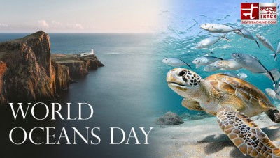 World Oceans Day: Celebrating the Beauty and Importance of our Blue Planet