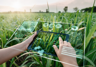 How AI can benefit the agricultural industry in India