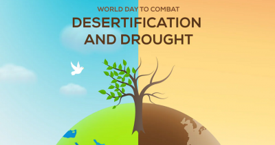 World Day to Combat Desertification and Drought 2024: A Call for Global Action