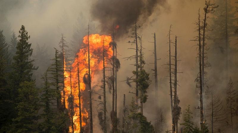 Wildfires in northern Arizona continue to spread