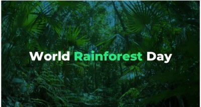 World Rainforest Day 2024: What's Rainforest Day? Why is it celebrated on June 22?