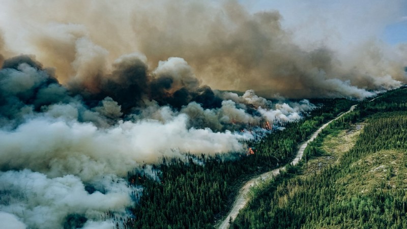 Canada Wildfires caught the Whole World in their trap