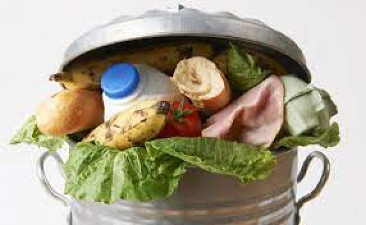 931 million metric tons food wasted each year