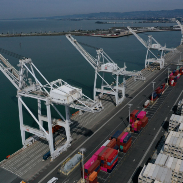 The Pentagon observes the enormous Chinese-made cranes in use at US ports