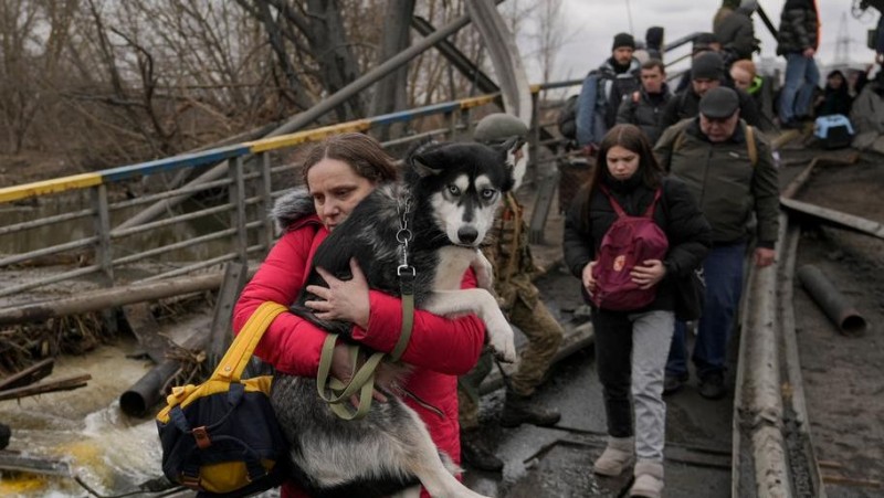 Petting zoo near Kyiv calls for humanitarian corridor to rescue animals