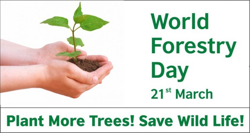 World Forestry Day 2018: Know the history of its establishment