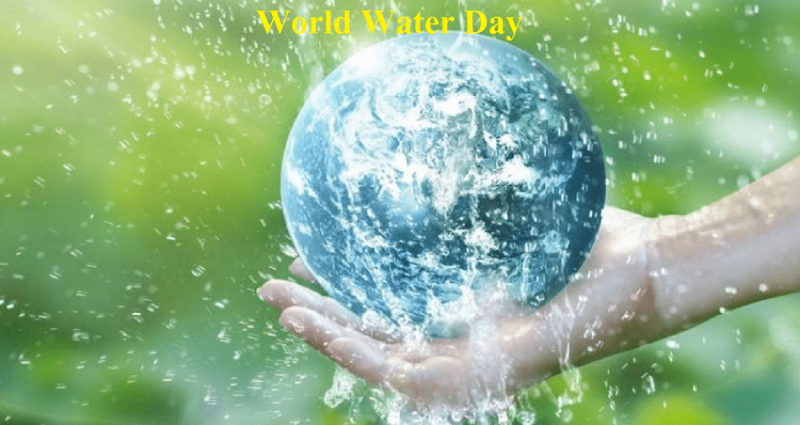 World Water Day: Celebrating Water for Peace
