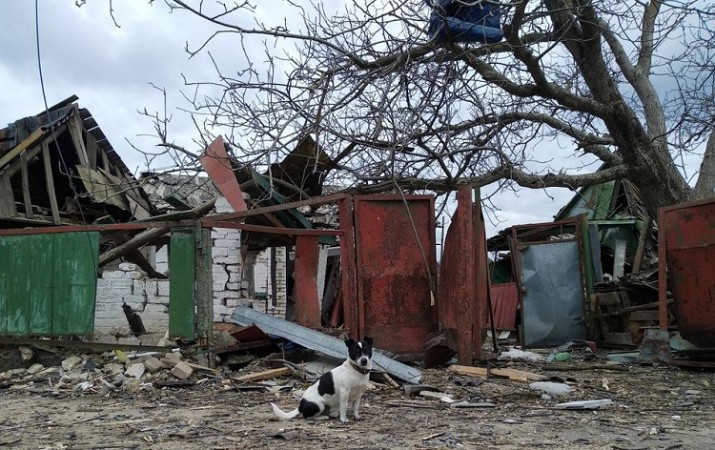 Ukraine sets up 7 humanitarian corridors for the evacuation of civilians.