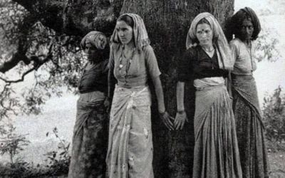 Chipko Movement: Google marks 45th anniversary of the forest conservation initiative
