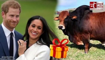 Royal wedding: PETA India's 'Merry' gift for Prince Harry and Meghan Markle