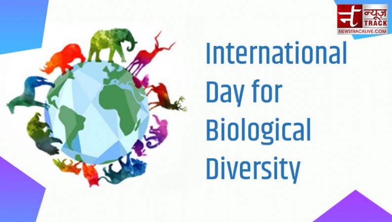 Celebrating World Day for Biological Diversity: Preserving Nature's Splendor
