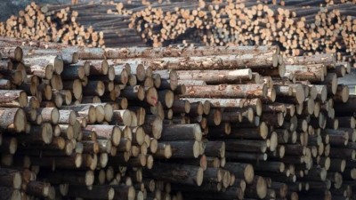 US move to double tariffs on Canadian softwood lumber: BC Lumber Trade Council