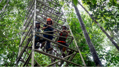 Amazon scientists model the effects of climate change on the jungle