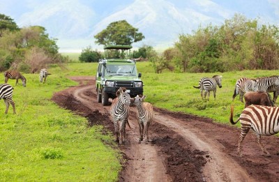 तंजानिया ने पर्यटन को सुविधाजनक बनाने के लिए राष्ट्रीय उद्यानों में 2,000 किमी सड़कों का निर्माण  किया