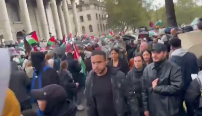 UK Authorities Detain 29 During Massive Pro-Palestine Rally in London