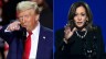 US 2024 Presidential Election Update: Trump Takes Lead with Key Wins in Swing States