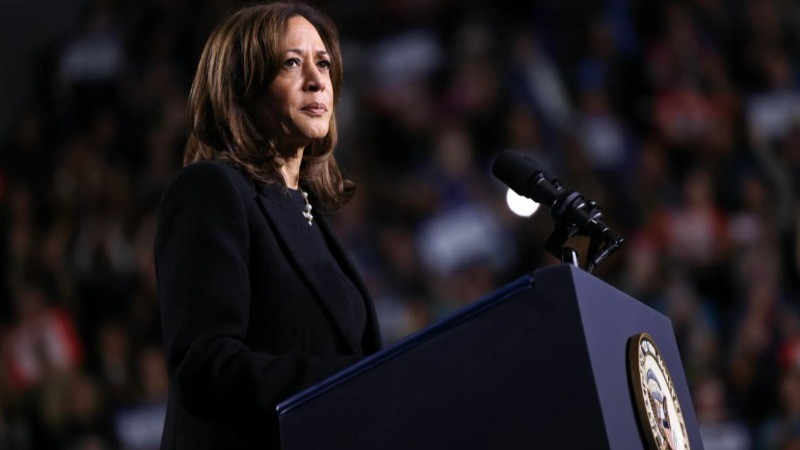 Why Kamala Harris Lost the Presidential Race: Missteps or Unavoidable Challenges?