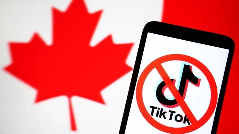 Which Countries Have Banned TikTok Over National Security Concerns? Check List.....