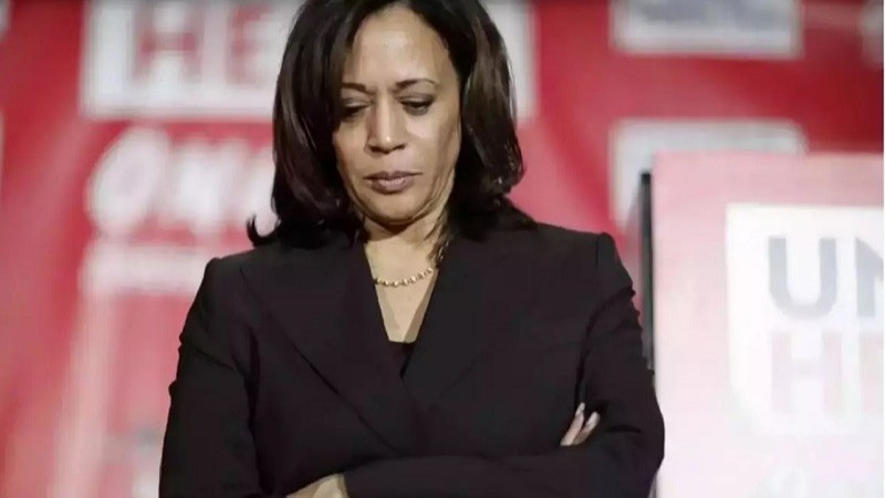 Kamala Harris: Will She Run for President in 2028 or Choose a Private Life?