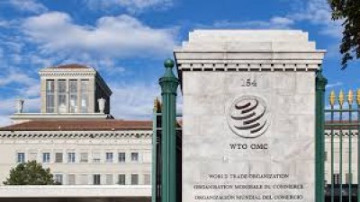 New WTO chief is yet to be decided