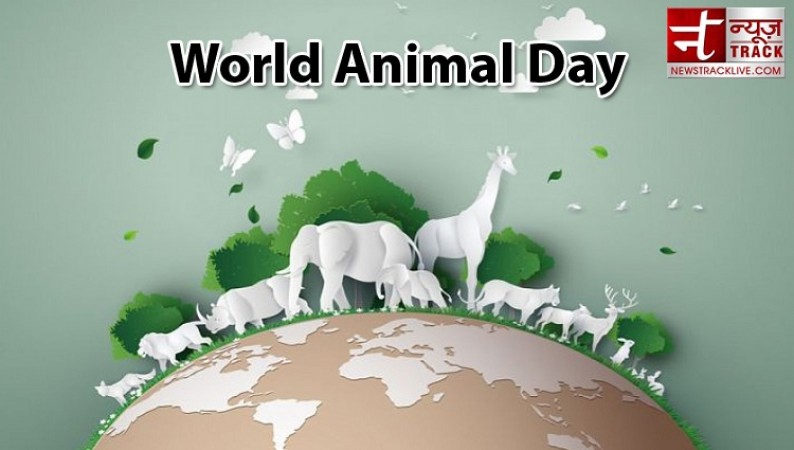 When is World Animal Welfare Day: Know its History, Significance, and More